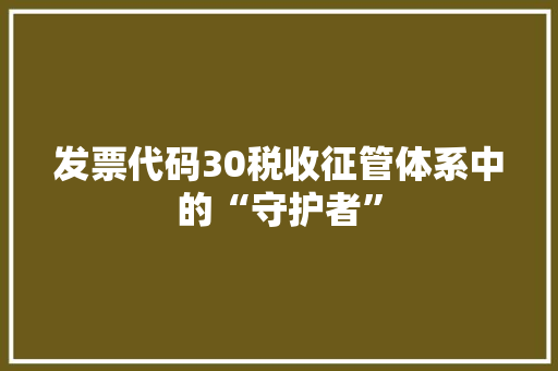 发票代码30税收征管体系中的“守护者”