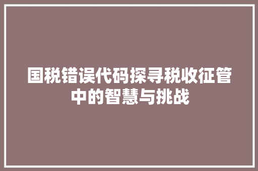 国税错误代码探寻税收征管中的智慧与挑战