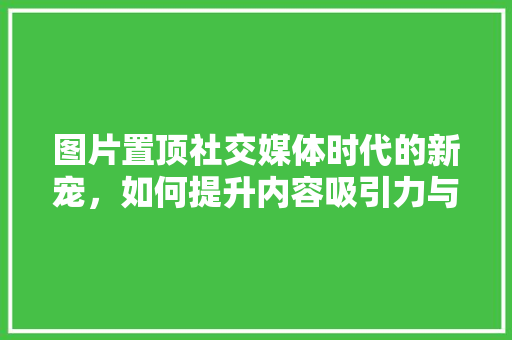 图片置顶社交媒体时代的新宠，如何提升内容吸引力与用户粘