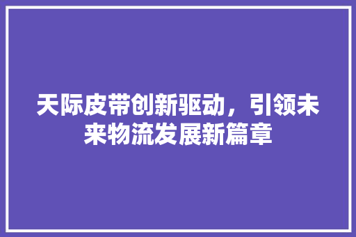 天际皮带创新驱动，引领未来物流发展新篇章