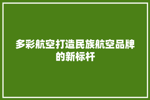 多彩航空打造民族航空品牌的新标杆