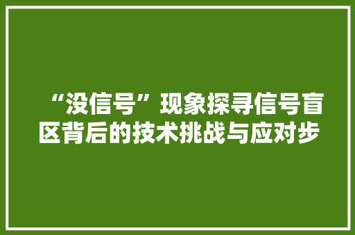 “没信号”现象探寻信号盲区背后的技术挑战与应对步骤