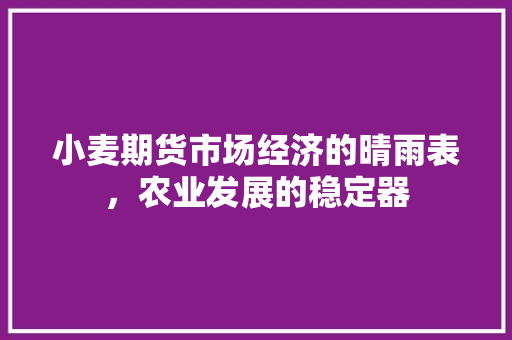 小麦期货市场经济的晴雨表，农业发展的稳定器