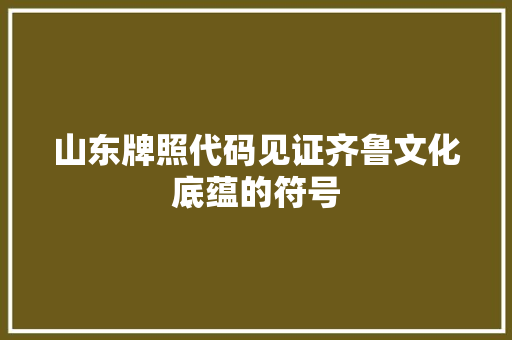 山东牌照代码见证齐鲁文化底蕴的符号