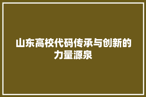 山东高校代码传承与创新的力量源泉