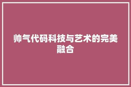 帅气代码科技与艺术的完美融合