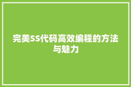 完美SS代码高效编程的方法与魅力