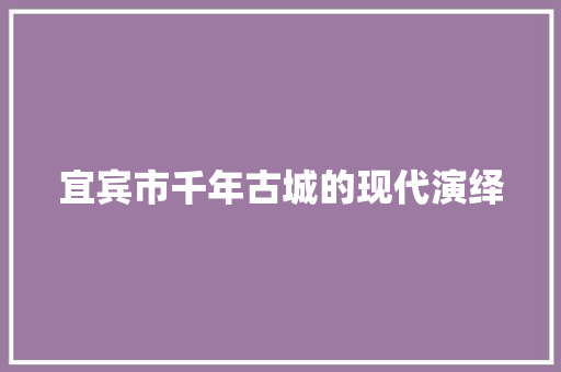 宜宾市千年古城的现代演绎