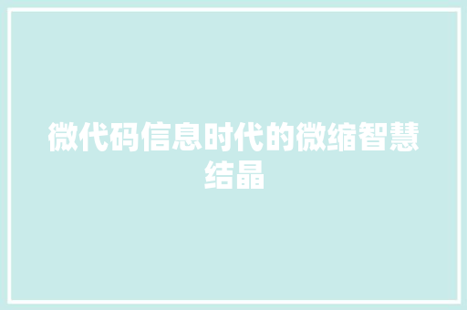 微代码信息时代的微缩智慧结晶
