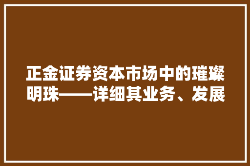正金证券资本市场中的璀璨明珠——详细其业务、发展与未来