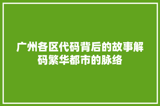 广州各区代码背后的故事解码繁华都市的脉络