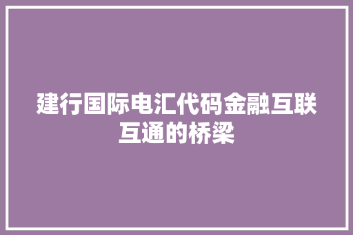 建行国际电汇代码金融互联互通的桥梁