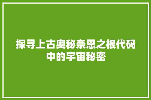 探寻上古奥秘奈恩之根代码中的宇宙秘密