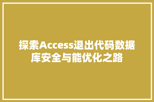 探索Access退出代码数据库安全与能优化之路