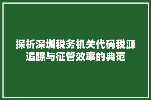探析深圳税务机关代码税源追踪与征管效率的典范