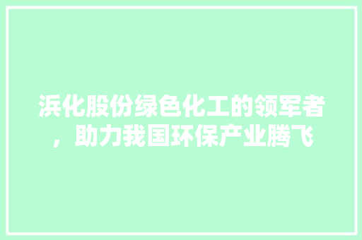 浜化股份绿色化工的领军者，助力我国环保产业腾飞