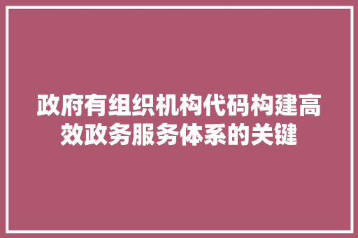 政府有组织机构代码构建高效政务服务体系的关键