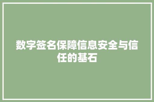 数字签名保障信息安全与信任的基石