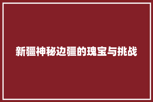 新疆神秘边疆的瑰宝与挑战