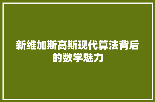 新维加斯高斯现代算法背后的数学魅力