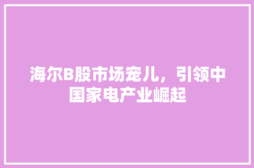 海尔B股市场宠儿，引领中国家电产业崛起