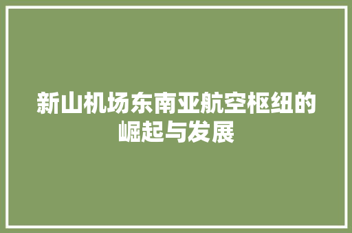 新山机场东南亚航空枢纽的崛起与发展