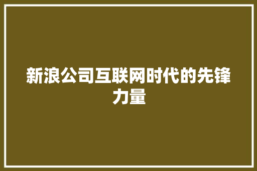 新浪公司互联网时代的先锋力量