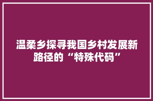 温柔乡探寻我国乡村发展新路径的“特殊代码”