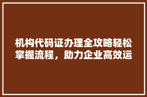 机构代码证办理全攻略轻松掌握流程，助力企业高效运营