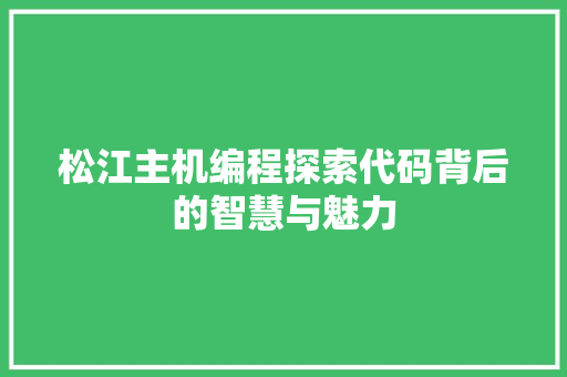 松江主机编程探索代码背后的智慧与魅力