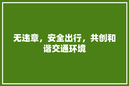 无违章，安全出行，共创和谐交通环境