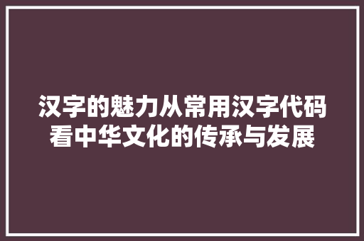 汉字的魅力从常用汉字代码看中华文化的传承与发展