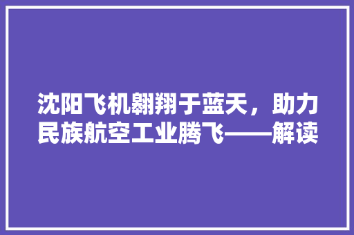 沈阳飞机翱翔于蓝天，助力民族航空工业腾飞——解读沈阳飞机股票代码背后的故事