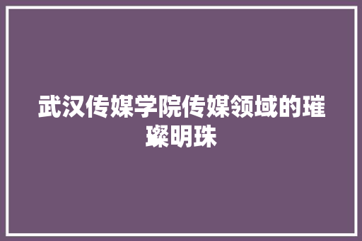 武汉传媒学院传媒领域的璀璨明珠