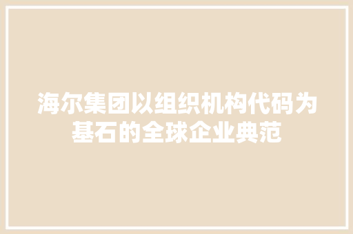 海尔集团以组织机构代码为基石的全球企业典范