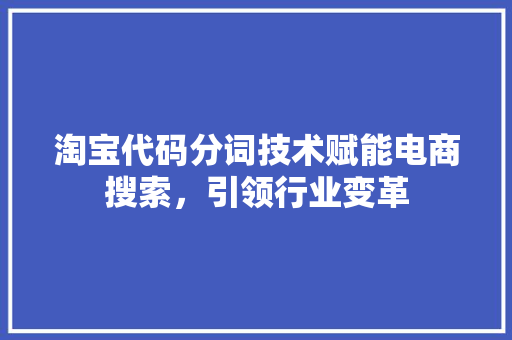 淘宝代码分词技术赋能电商搜索，引领行业变革