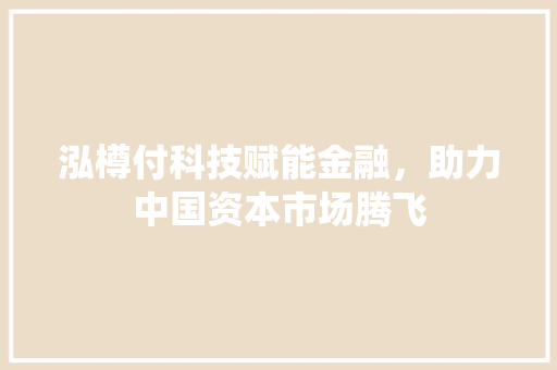 泓樽付科技赋能金融，助力中国资本市场腾飞