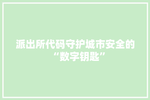 派出所代码守护城市安全的“数字钥匙”