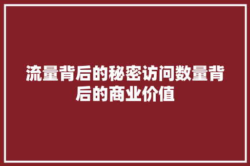 流量背后的秘密访问数量背后的商业价值