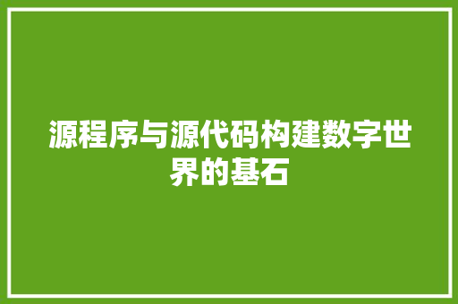 源程序与源代码构建数字世界的基石