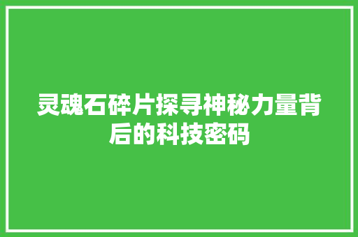 灵魂石碎片探寻神秘力量背后的科技密码