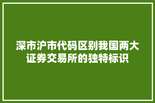 深市沪市代码区别我国两大证券交易所的独特标识