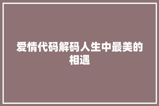 爱情代码解码人生中最美的相遇