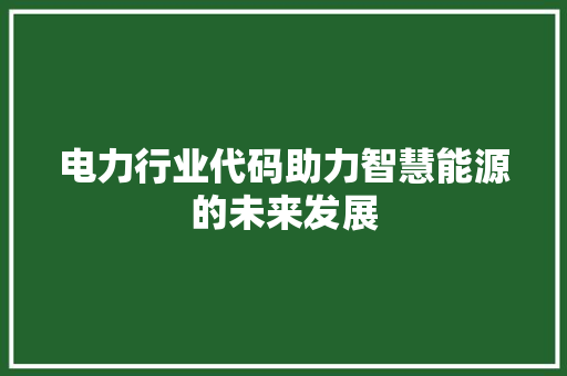 电力行业代码助力智慧能源的未来发展