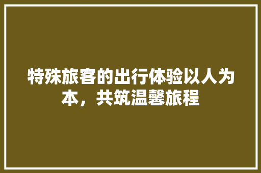 特殊旅客的出行体验以人为本，共筑温馨旅程