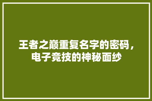 王者之巅重复名字的密码，电子竞技的神秘面纱