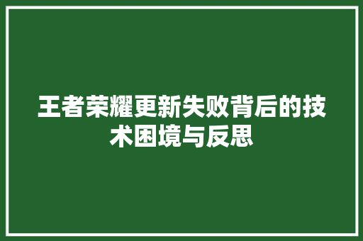 王者荣耀更新失败背后的技术困境与反思