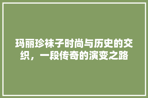 玛丽珍袜子时尚与历史的交织，一段传奇的演变之路