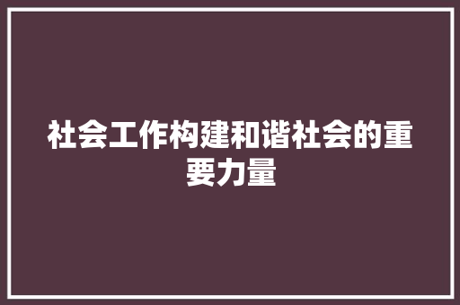 社会工作构建和谐社会的重要力量  第1张