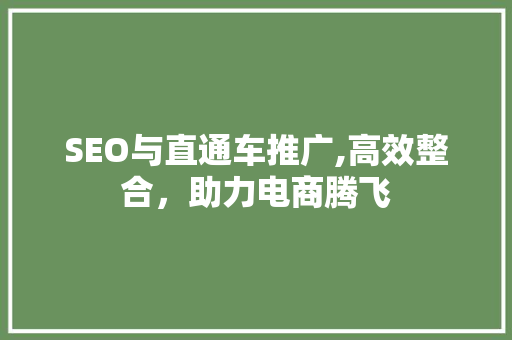 SEO与直通车推广,高效整合，助力电商腾飞